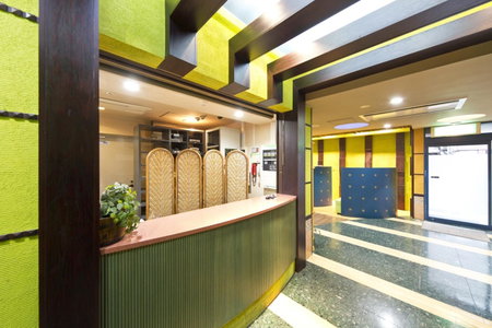 International Hotel Kabukicho, Tokyo, Japon