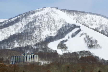 One Niseko Resort Towers, Niseko, Япония