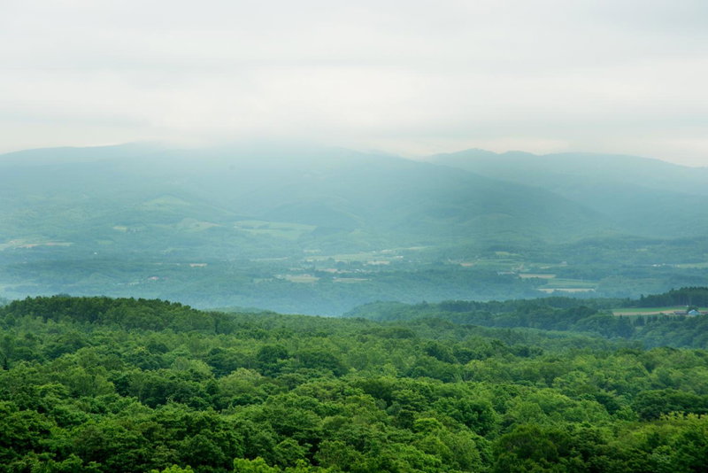 One Niseko Resort Towers, Niseko, Япония