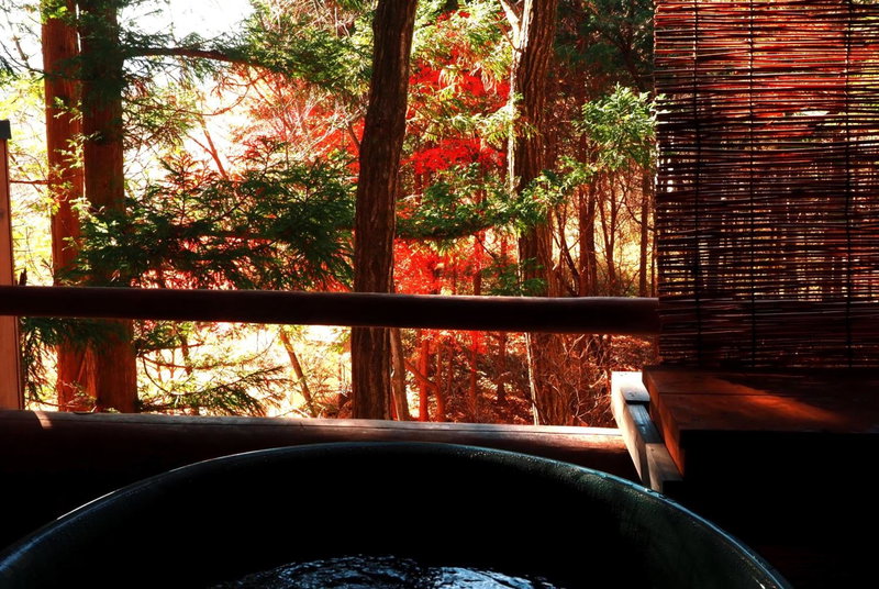 Gableview Forest Inn ゲーブルビュー, Nikko, Japón