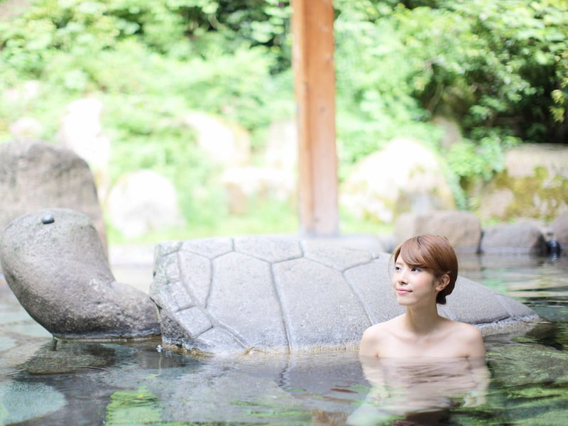 Fuga No Yado Chouseikan, Agano, Japan