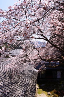 Ohara no Sato, Kyoto, Japan