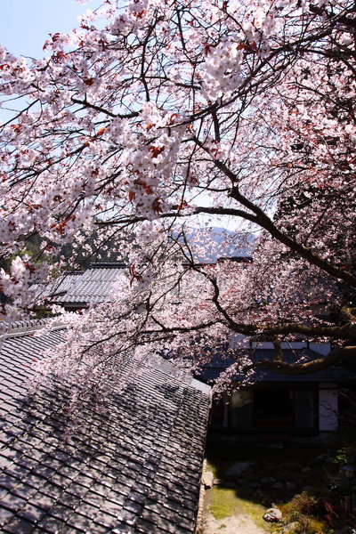 Ohara no Sato, Kyoto, Japan