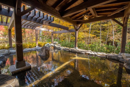 Shionoyu Onsen Rengetsu, Nasushiobara, Japan