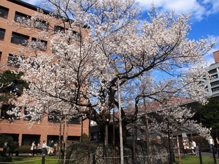 Kita Hotel, Morioka, Japón