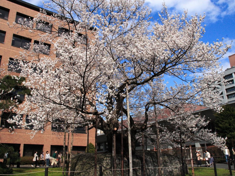 Kita Hotel, Morioka, Japón