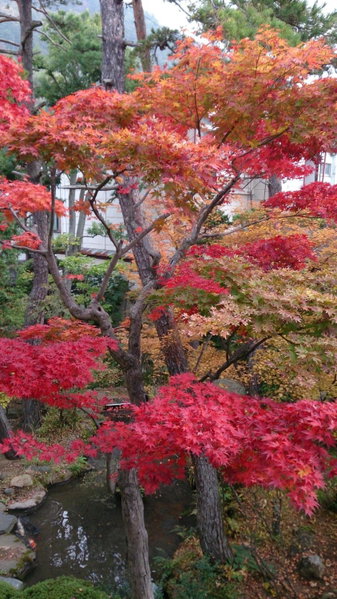 Yudanaka Yumoto, Yamanouchi, Japan