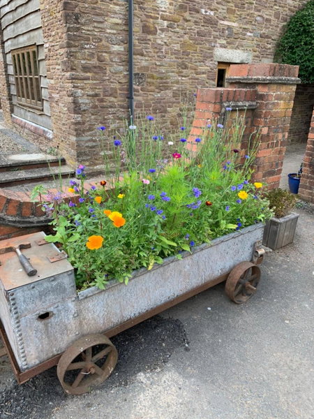 Winsley Park Farm, Leominster, Reino Unido