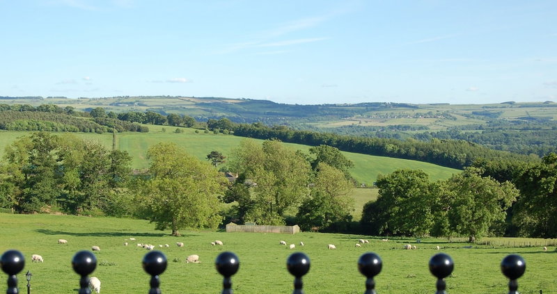 Duke of Wellington, Stocksfield, Royaume-Uni