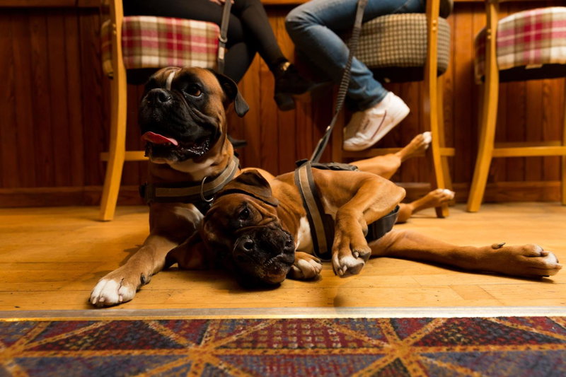 Warkworth House Hotel, Warkworth, Reino Unido