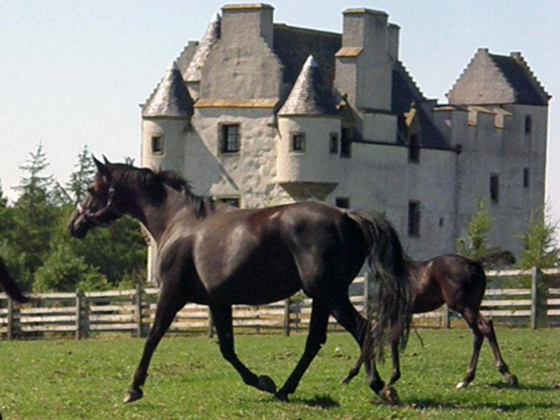 Faside Estate, Musselburgh, Royaume-Uni