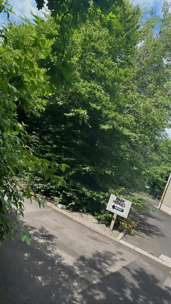 The Dark Hedges Hotel, Stranocum, Reino Unido