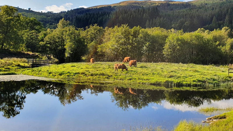 Cabins at Old Pier House, Fort Augustus, Vereinigtes Königreich