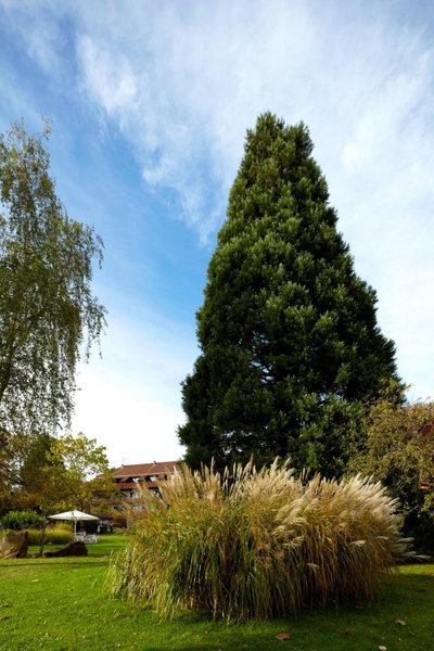 NaturKulturHotel Stumpf, Neunkirchen, Germany