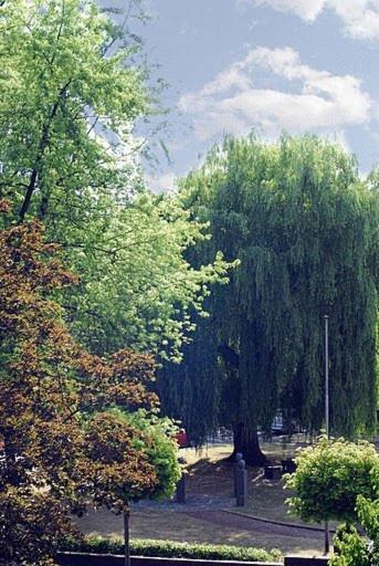 Hotel Josten, Nettetal, Germany