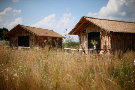 Serengeti Park Resort, Hodenhagen, Germany