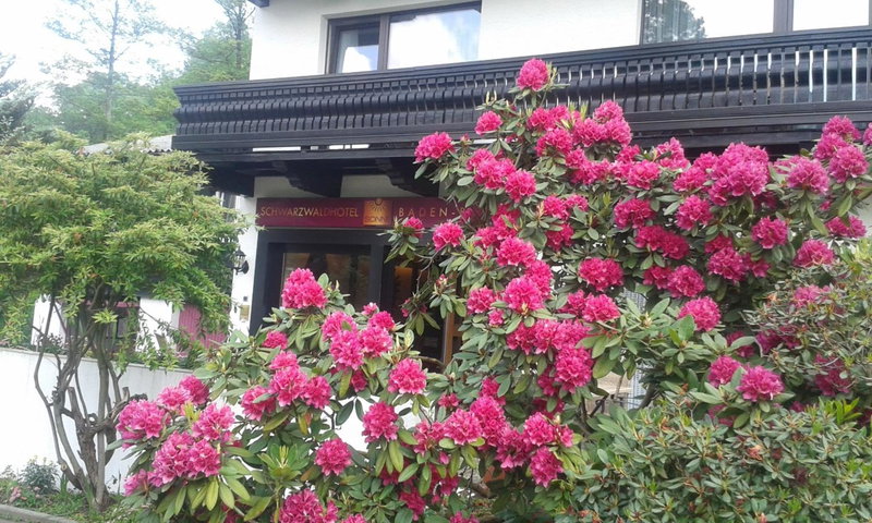 Schwarzwaldhotel Sonne, Baden-Baden, Germany