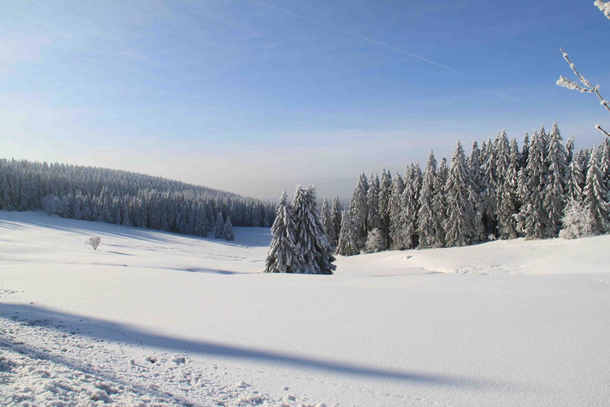 Hotel · Hotel Njord, Clausthal-Zellerfeld