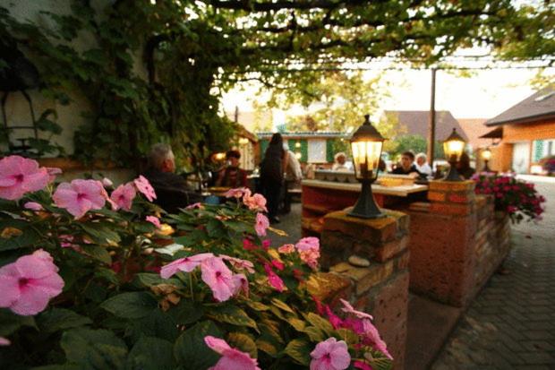 Gasthaus Weinhotel Adler, Endingen, Germany