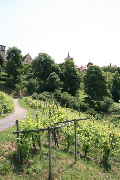Glocke Weingut und Hotel, Rothenburg ob der Tauber, Germany