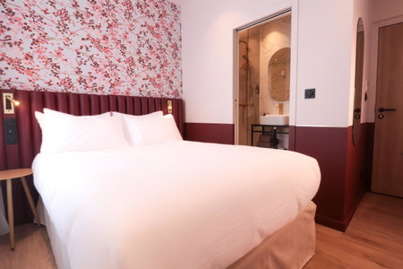 Rosa Hotel, Lille, France