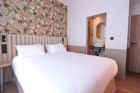 Rosa Hotel, Lille, France