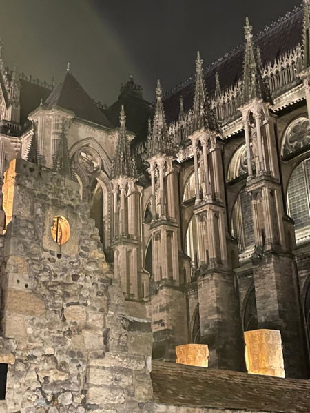 Les Berceaux de la Cathedrale, Reims, France