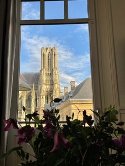 Les Berceaux de la Cathedrale, Reims, France