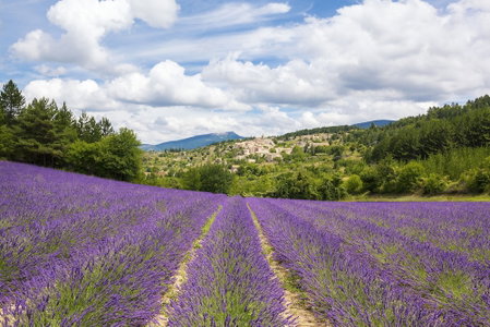 Hotel La Clé des Champs Boutique hôtel & spa, Roussillon, France