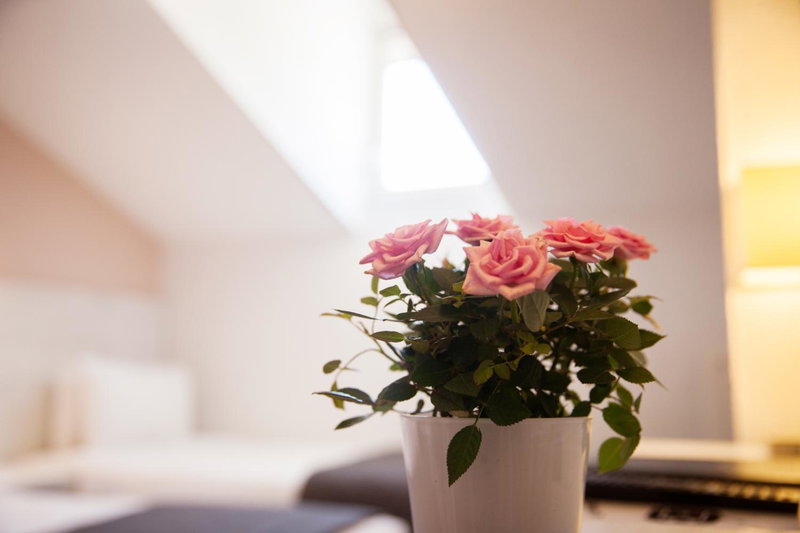 Hotel Cannes Croisette, Cannes, Francia