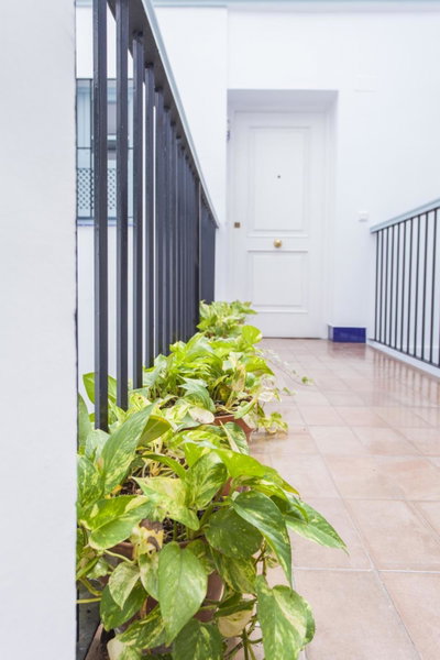 Apartamentos Suites Santa Cruz, Seville, Espagne