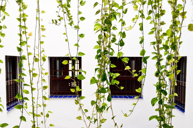Apartamentos Suites Santa Cruz, Seville, Espagne