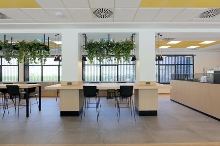 Villa Alojamiento y Congresos - Villa Universitaria, San Vicente del Raspeig, Spain