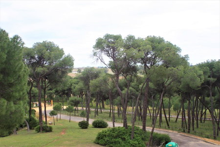 Hotel Oromana, Alcalá de Guadaira, Spain
