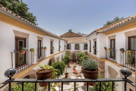 Cats Hostel Córdoba, Córdoba, España