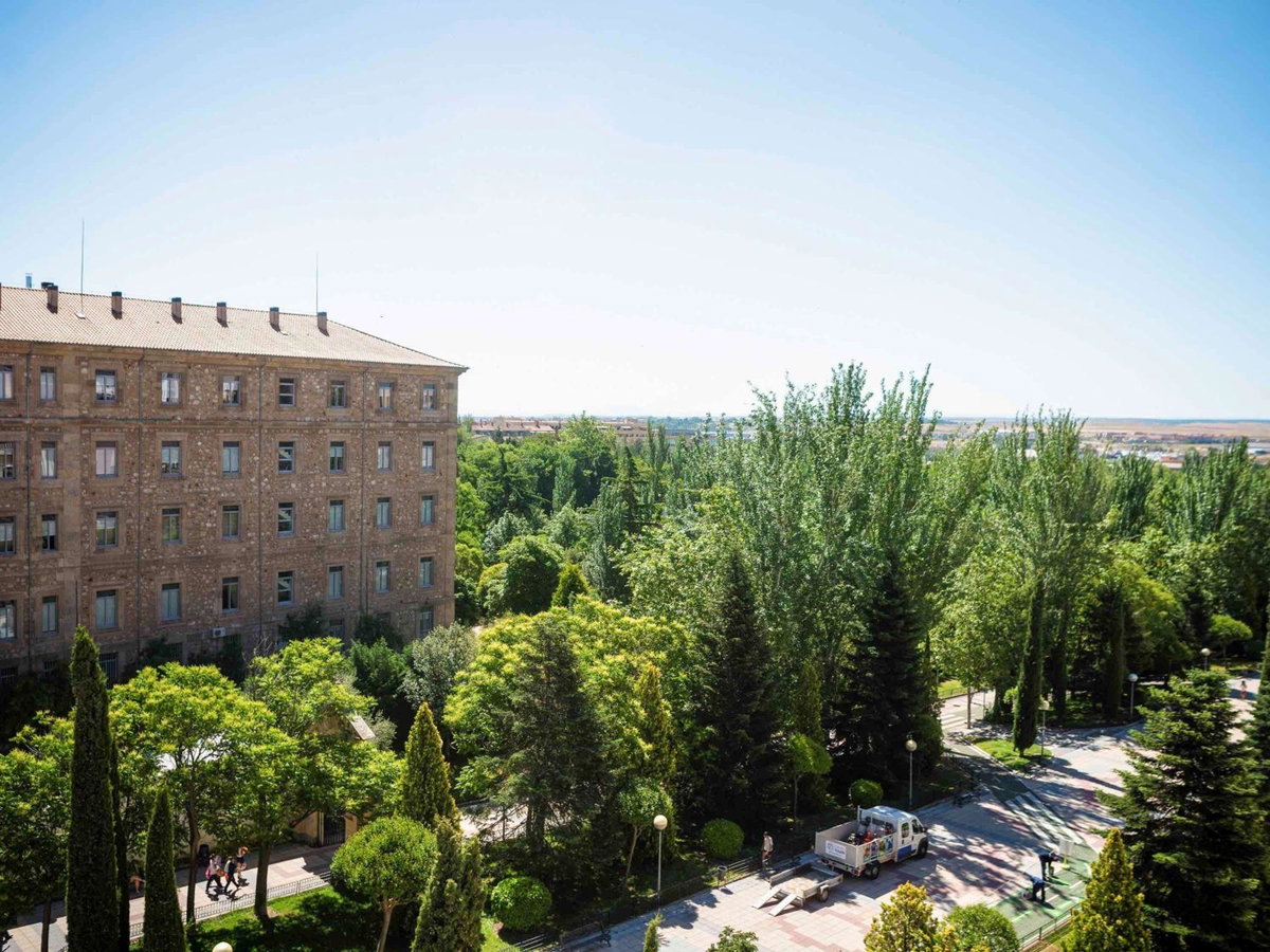 Ibis Salamanca, Испания