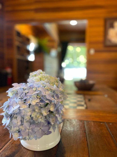 Hotel Cabanas Glamour, Gramado, Brazil