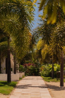Moriá Eco Lodge, Icaraí, Brésil