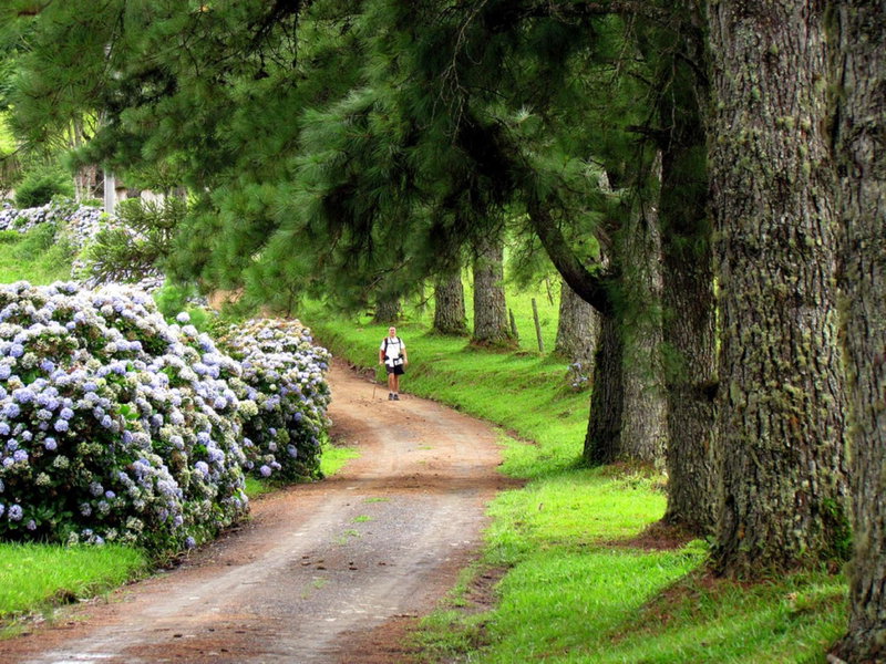 Blue Hill Hotel, Timbó, Brésil