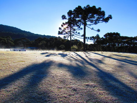 Fazenda Santa Rita Turismo Rural, Bom Jardim da Serra, Brazil