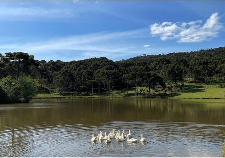Fazenda Santa Rita Turismo Rural, Bom Jardim da Serra, Brazil