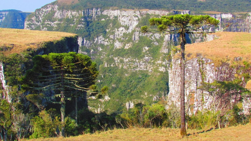 Fazenda Santa Rita Turismo Rural, Bom Jardim da Serra, Brazil