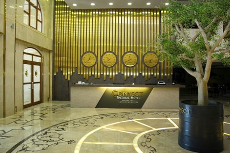 Connect Thermal Hotel, Kahramankazan, Turkey