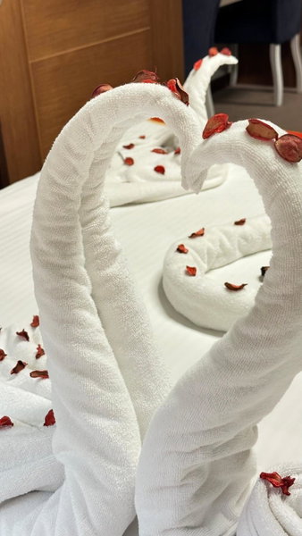 Özkaya hotel, Sivas, Turkey