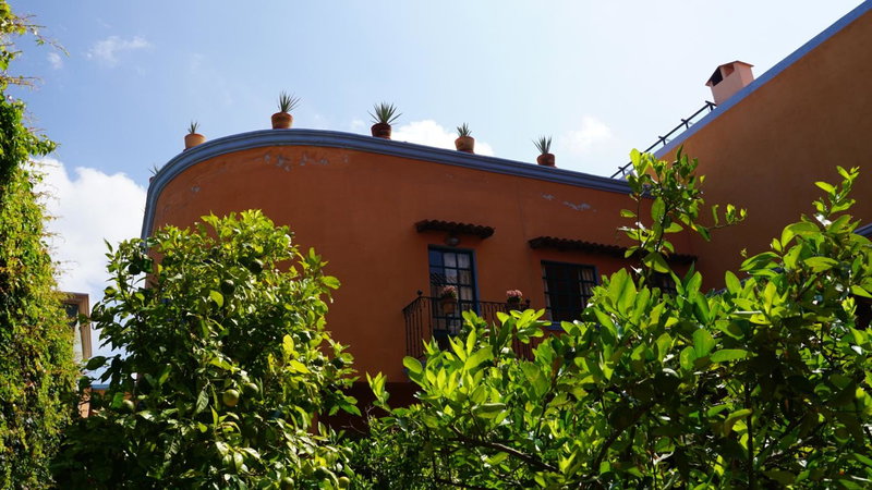 Casa Frida B&B, San Miguel de Allende, Mexico