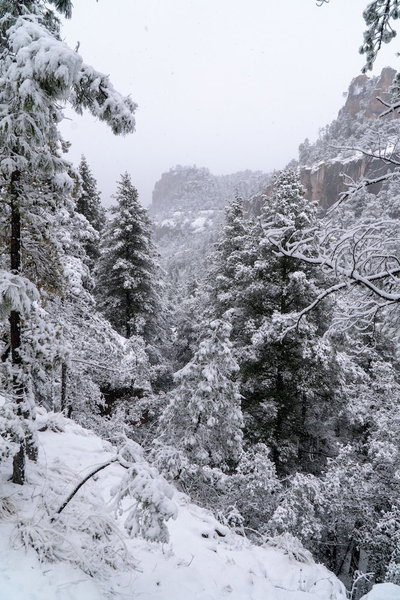 Hacienda Don Armando Boutique & Spa, Bocoyna, Мексика