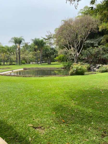 Huayacán Cuernavaca Curamoria Collection, Jiutepec, Мексика