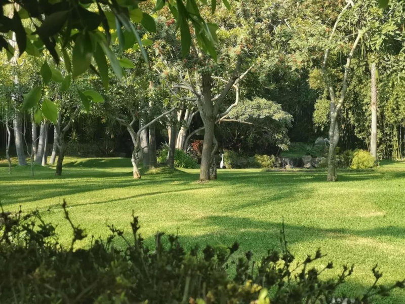 Huayacán Cuernavaca Curamoria Collection, Jiutepec, Мексика