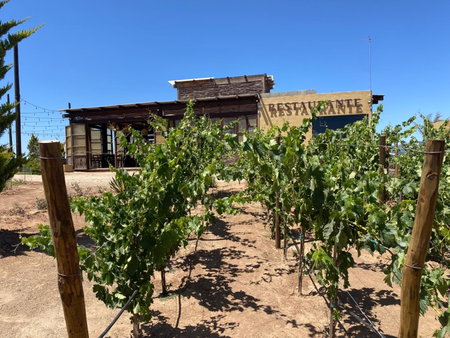 Cuatro Lunas Hotel Boutique, Valle de Guadalupe, Мексика