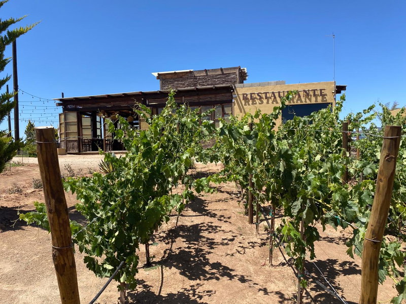 Cuatro Lunas Hotel Boutique, Valle de Guadalupe, Мексика
